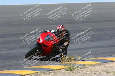 media/Apr-09-2023-SoCal Trackdays (Sun) [[333f347954]]/Bowl Set 2 (1040am)/